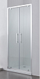 Душевая дверь SSWW LD60-Y22 120x195 профиль серебро