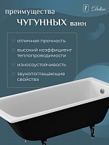 Чугунная ванна Delice France Biove 170x75 DLR220509