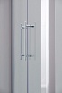 Душевая дверь SSWW LD60-Y22 100x195 профиль серебро