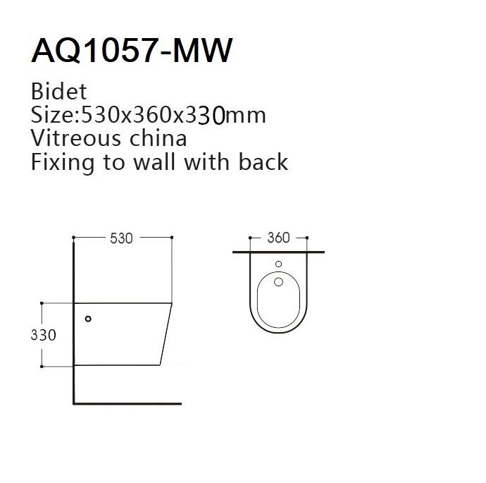 Подвесное биде Aquatek Вега AQ1057-MW матовый белый