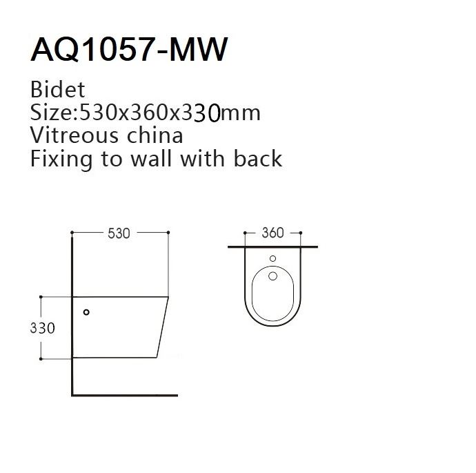 Подвесное биде Aquatek Вега AQ1057-MW матовый белый