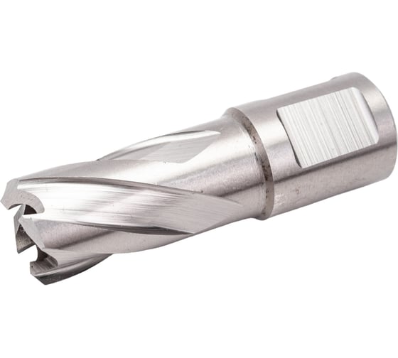 Сверло корончатое HSS по металлу (17х30/63 мм; Weldon 19) D.BOR CD-HSS-030-017-W