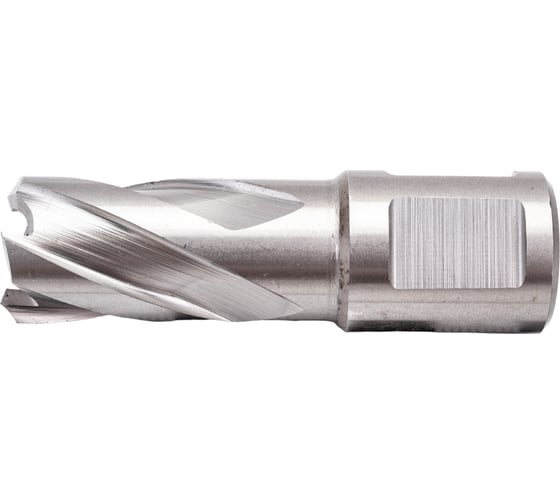 Сверло корончатое HSS по металлу (17х30/63 мм; Weldon 19) D.BOR CD-HSS-030-017-W