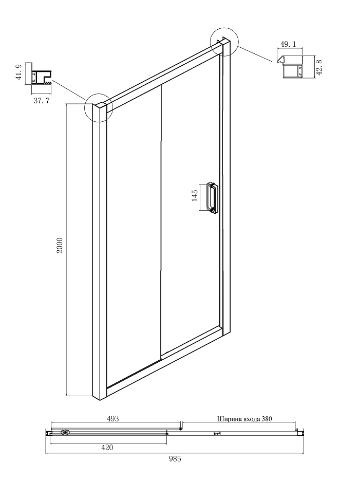 Душевая дверь Ambassador Forsa 100x200 17021216AB прозрачная, чёрный