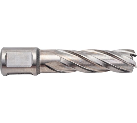 Сверло кольцевое (16х55 мм; HSS; Weldon 19) Euroboor HCL.160