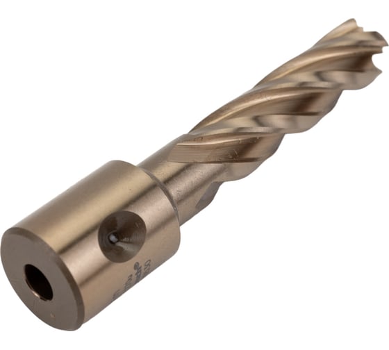 Сверло корончатое (13х55 мм; Weldon 19) Karnasch 20.1270U-013