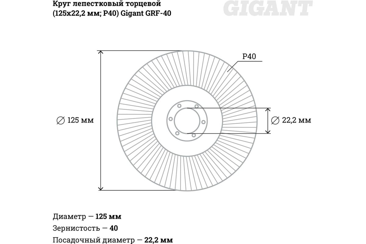 Круг лепестковый торцевой (125x22.2 мм; P40) Gigant GRF-40