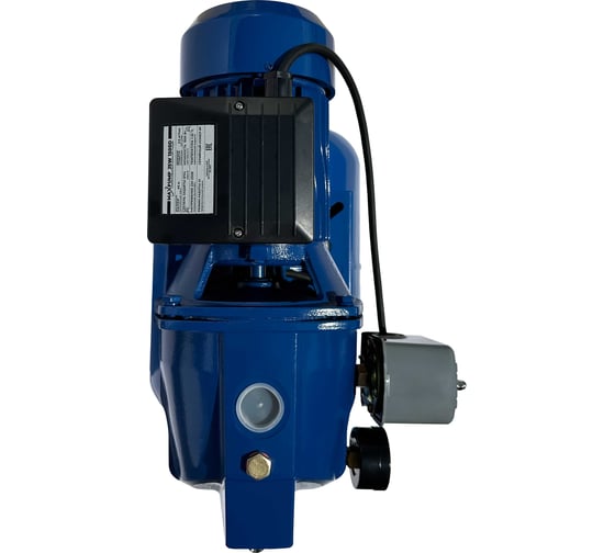 Насосная станция Maxpump JSW 1500D 24л 2040000001407