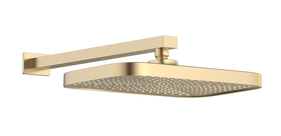 Душевой набор Vincea VSFW-4211RBG двухрежимный, брашированное золото