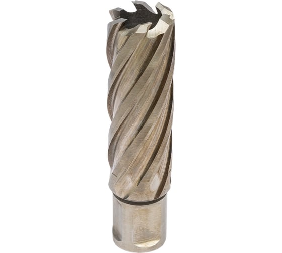 Сверло корончатое (22х50 мм; HSS; Weldon 19) PROTON Т0000023470