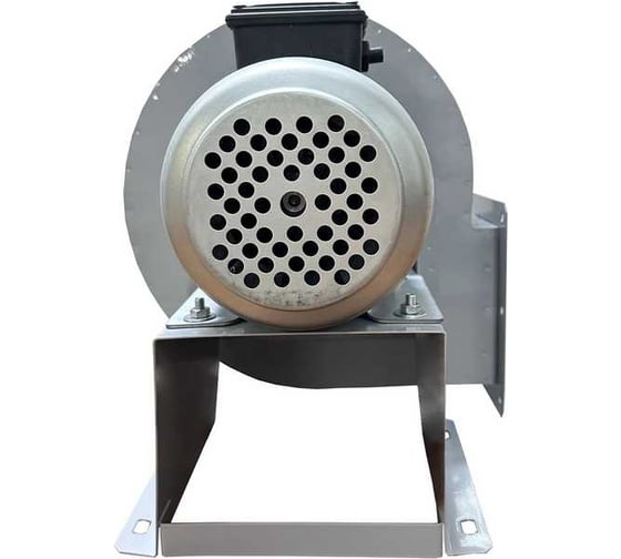 Вентилятор радиальный ERA BURAN PRO 200 220V Лв0 2 полюс BURAN PRO 200 2K M L