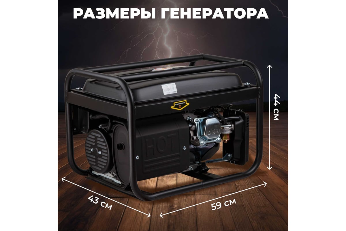 Бензиновый генератор Eco PE-4001RS Black Edition EC1565-1