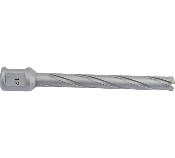 Сверло кольцевое (12х100 мм; TCT; Weldon 19) Euroboor HMX.120