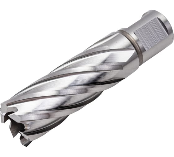Сверло корончатое HSS по металлу (21х55/88 мм; Weldon 19) D.BOR CD-HSS-055-021-W
