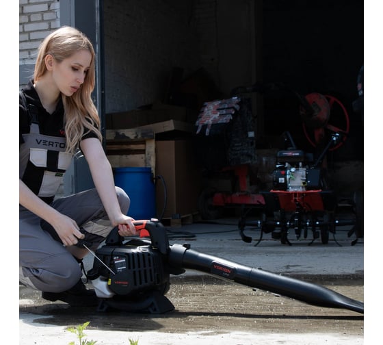 Бензиновая воздуходувка Verton BW-28 01.9672.10183