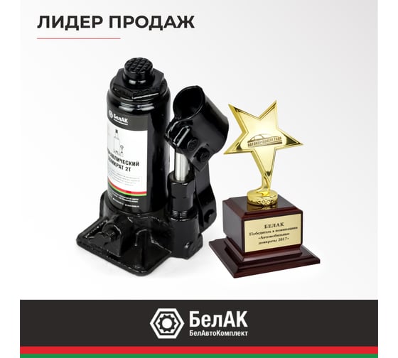 Домкрат в кейсе БелАК БАК.10039 (2 тонны)