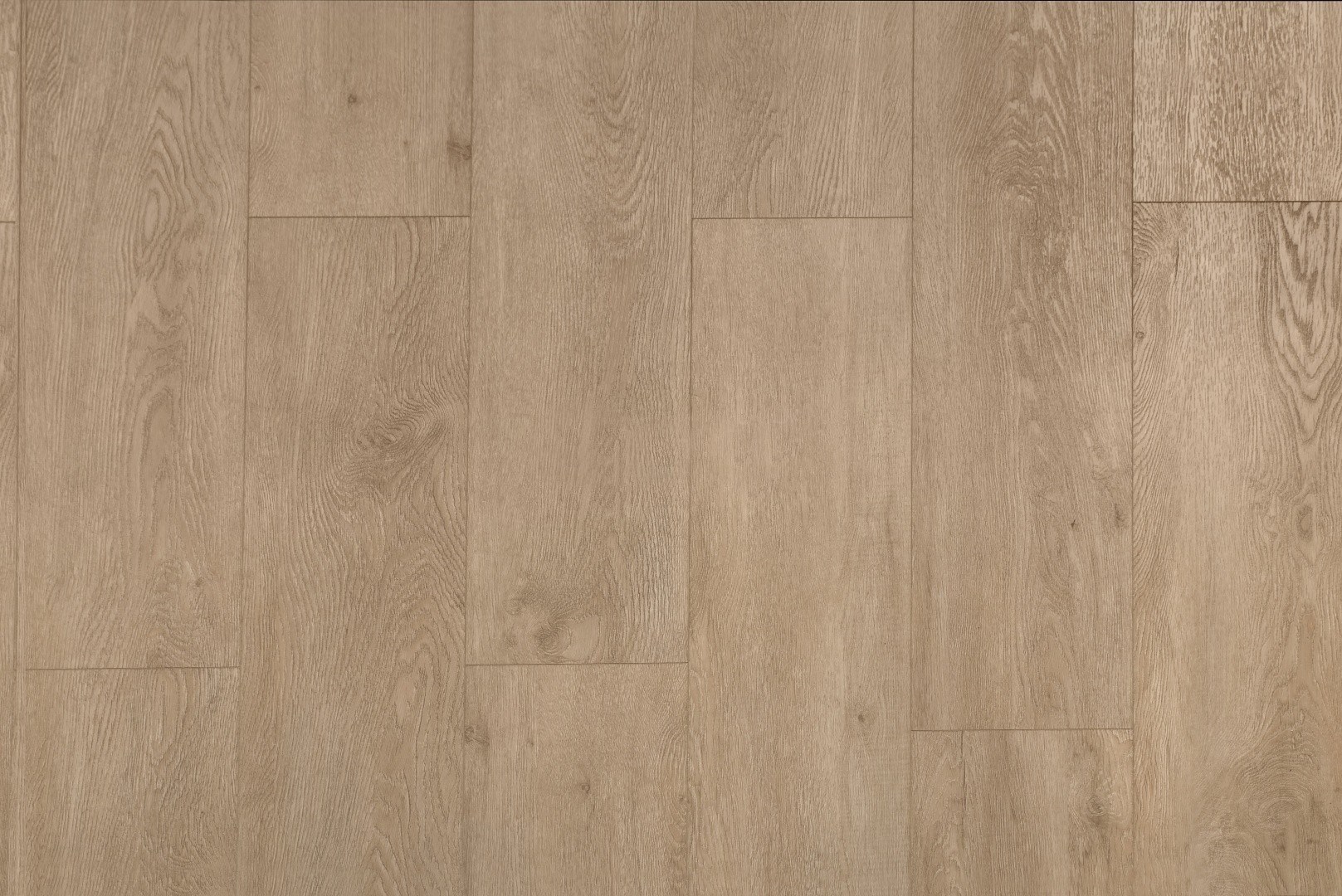 SPC ламинат Alpine Floor Grand Sequoia Камфора 1220x183x4,0 мм, ECO 11-5
