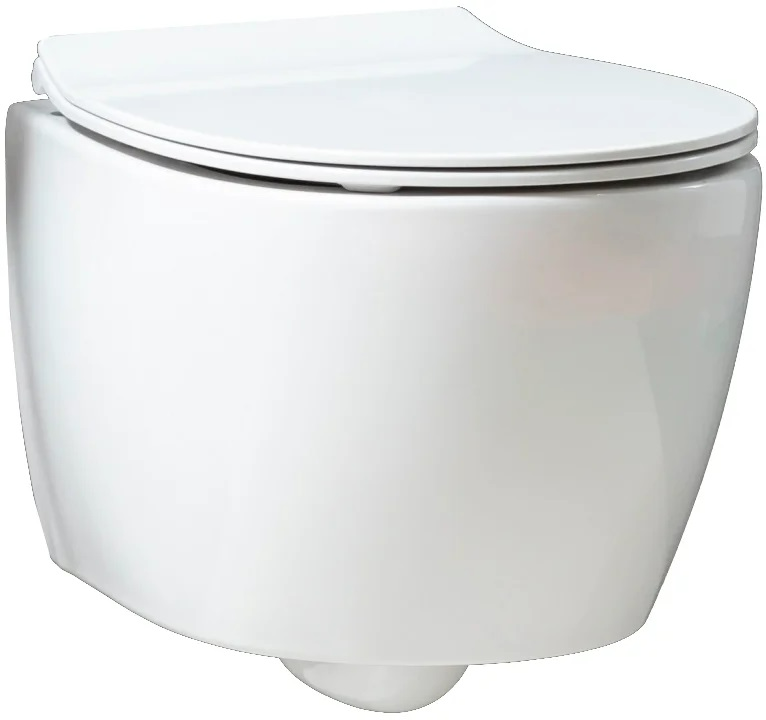 Подвесной унитаз Allen Brau Fantasy 4.11004 безободковый