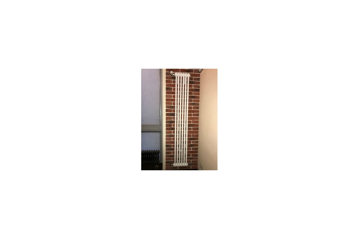 Трубчатый радиатор Arbonia 2180/08 № 12 RAL9016 3/4