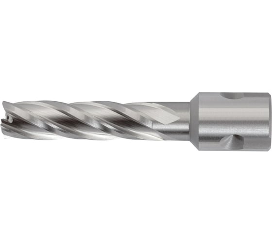 Сверло корончатое по металлу WOLFSTAR 22x55 мм, Р6М5К5, хв-к Universal/Weldon 19 мм cw00214