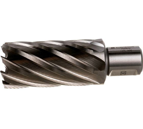 Сверло кольцевое (30х55 мм; HSS; Weldon 19) Euroboor HCL.300