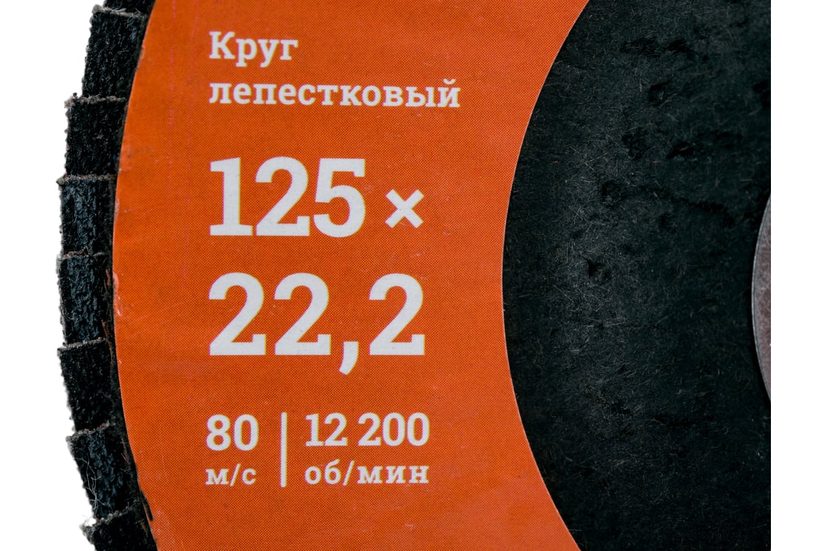 Круг лепестковый (125x22.2 мм; P100) Gigant G-11038