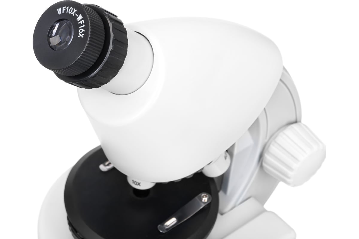Микроскоп Discovery Micro Polar с книгой 77952