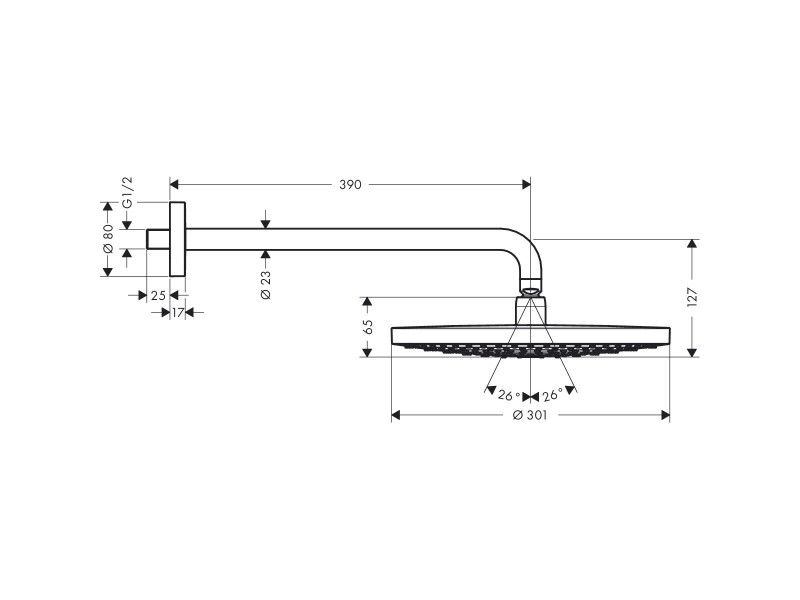 Верхний душ Hansgrohe Raindance Select S300 2Jet 27378000