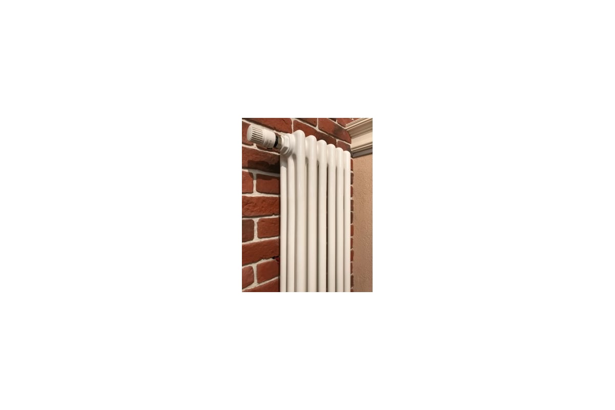 Трубчатый радиатор Arbonia 3180/06 № 69 ventil oben