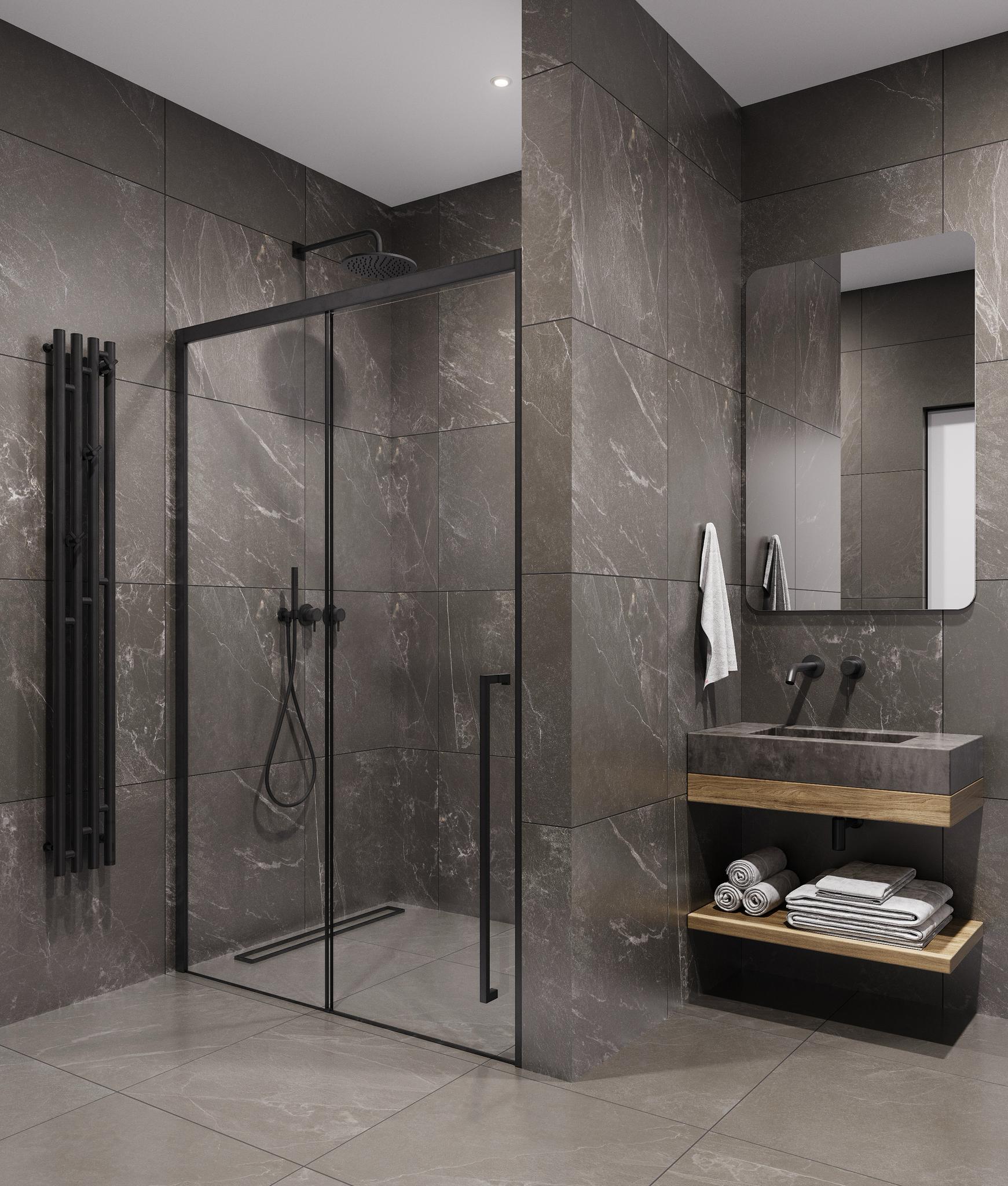 Душевая дверь Timo TDSS-120/03C-8R 120x200 прозрачное, черный