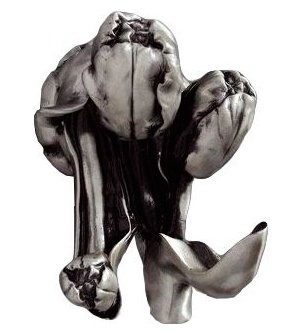Крючок Art&Max Tulip AM-B-0822-T серебро