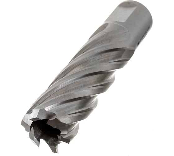 Сверло кольцевое (20х55 мм; HSS; Weldon 19) Euroboor HCL.200