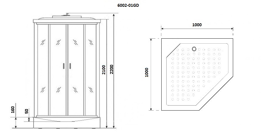 Душевая кабина Niagara Premium NG-6002-01GD 100x100