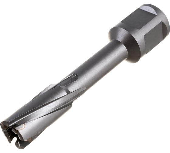 Фреза кольцевая TCT (14x55 мм; Weldon 19) Rotorica RT.4225014