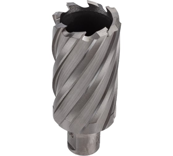 Сверло кольцевое (36х55 мм; HSS; Weldon 19) Euroboor HCL.360