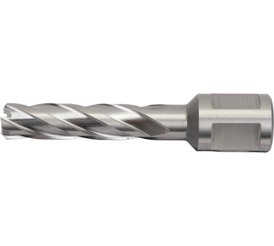 Сверло корончатое HSS по металлу (12х55/88 мм; Weldon 19) D.BOR CD-HSS-055-012-W