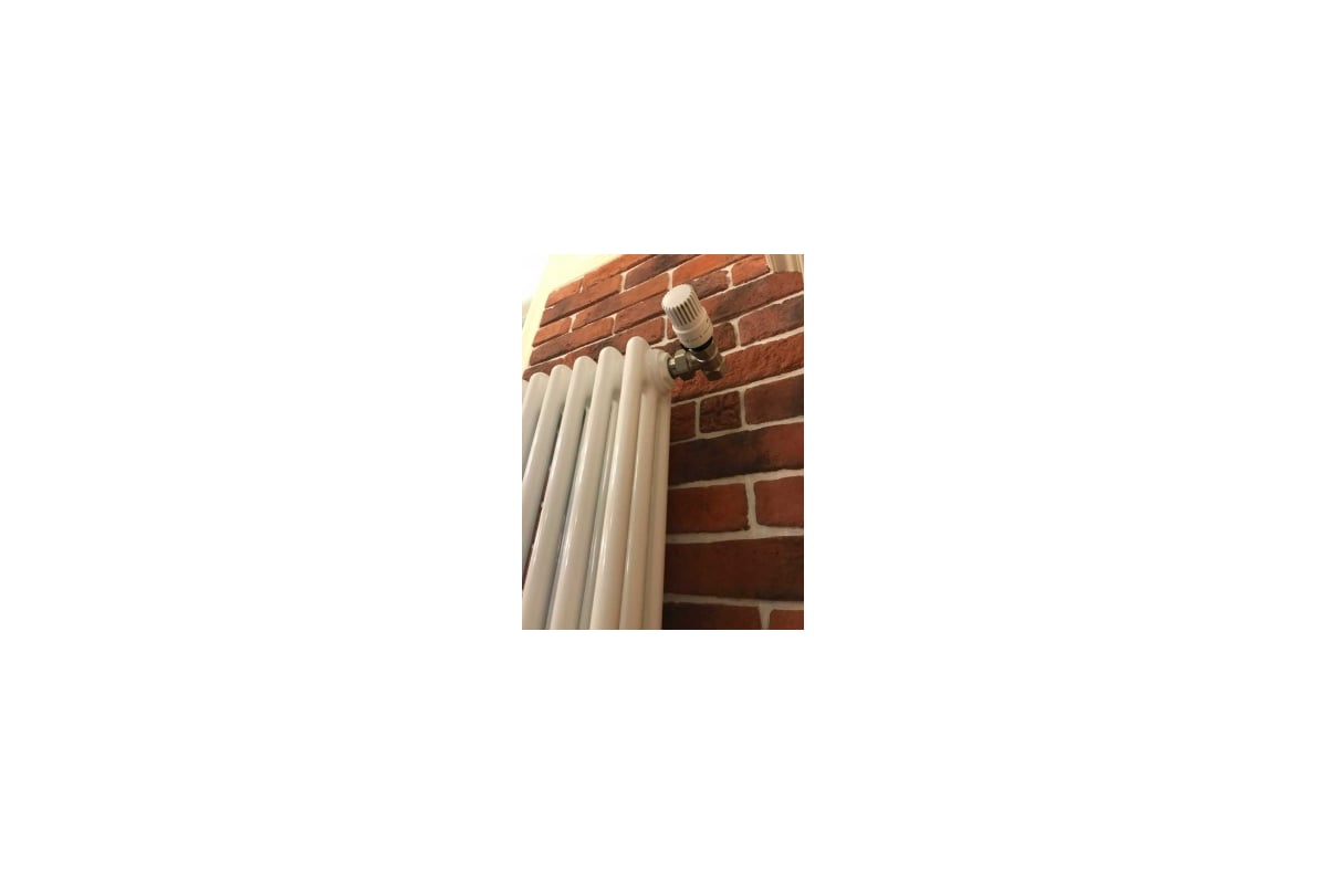 Трубчатый радиатор Arbonia 3180/06 № 12 RAL9016 3/4