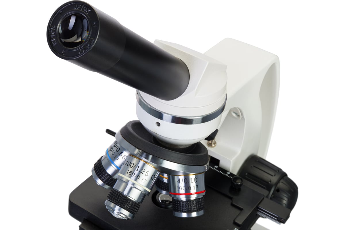 Микроскоп Discovery Atto Polar с книгой 77989