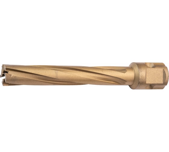 Сверло корончатое LENZ 17x80 мм, Weldon 19/Nitto LZTX-017