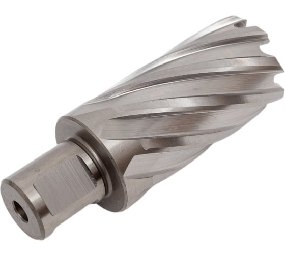 Сверло корончатое HSS по металлу (31х55/88 мм; Weldon 19) D.BOR CD-HSS-055-031-W