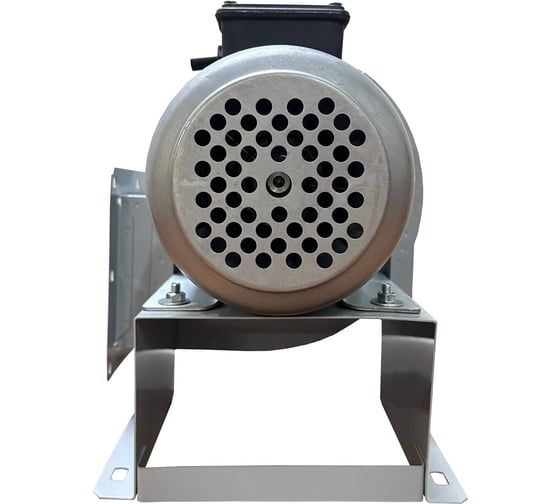 Вентилятор радиальный ERA BURAN PRO 140 220V Пр0 2 полюс PRO BURAN PRO 140 2K M R