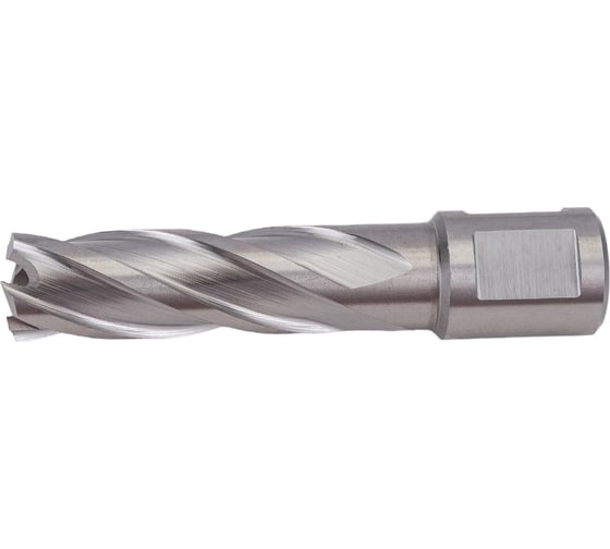 Сверло корончатое HSS по металлу (16х55/88 мм; Weldon 19) D.BOR CD-HSS-055-016-W