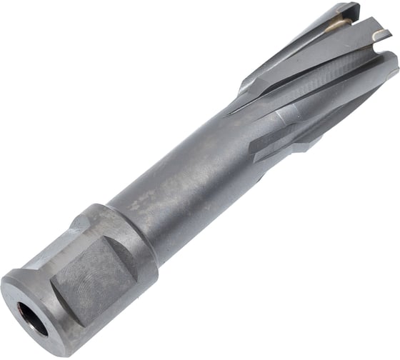 Фреза кольцевая TCT (20x55 мм; Weldon 19) Rotorica RT.4225020