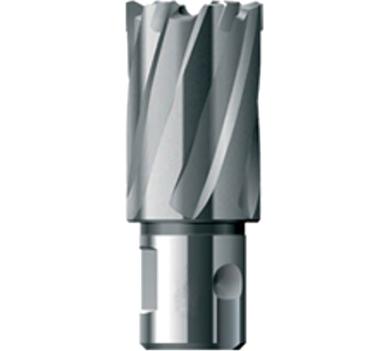 Фреза кольцевая HSS (28х30 мм) FE POWERTOOLS FE3028