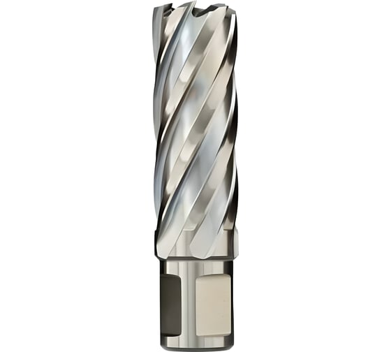 Сверло кольцевое 66х55 мм, HSS, Weldon 19 Euroboor HCL.660