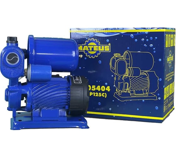 Автоматическая насосная станция Mateus TGP125C MS05404