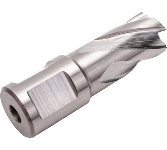 Сверло корончатое HSS по металлу (17х30/63 мм; Weldon 19) D.BOR CD-HSS-030-017-W