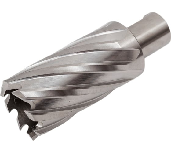 Сверло корончатое HSS по металлу (31х55/88 мм; Weldon 19) D.BOR CD-HSS-055-031-W