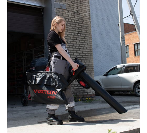 Бензиновая воздуходувка Verton BW-28 01.9672.10183