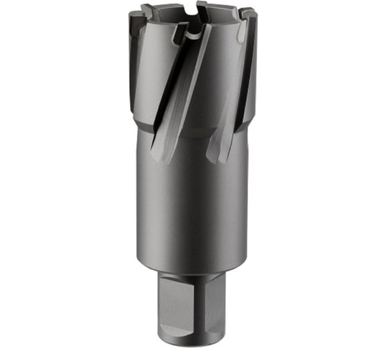 Фреза кольцевая TCT (32x55 мм; Weldon 19) Rotorica RT.4225032